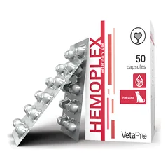 Hemoplex Papildai šunims ir katėms anemijos gydymu N50