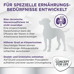 Concept for Life Veterinary Diet Renal sausas maistas šunims — 2 nuotrauka