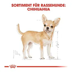Royal Canin Chihuahua Mousse drėgnas maistas šunims — 4 nuotrauka