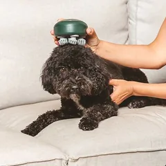 kooa Massagegerät für Haustiere