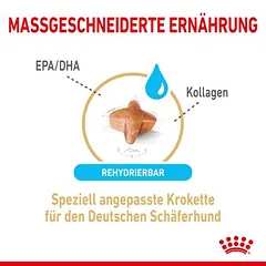 Royal Canin German Shepherd Adult 5+ sausas maistas šunims — 4 nuotrauka