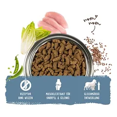 Bosch Maxi Junior 1 kg parduotuvėje zooplus.de