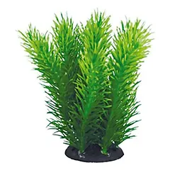 Aquael plastikinis augalas akvariumui pr-402, 10cm
