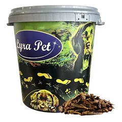Lyra Pet® džiovinti skėriai, 10 kg — 4 nuotrauka