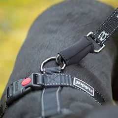 Rukka® žygių treniruočių pavadėlis, 170–240 cm ilgio, 20 mm pločio — 5 nuotrauka