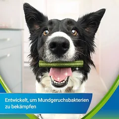 3 + 1 dovanų! 4 x Purina Dentalife Active Fresh kasdieniai dantų priežiūros skanėstai šunims — 4 nuotrauka