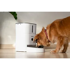 Automatinė šunų ir kačių šėrykla su kamera, 3 L — 3 nuotrauka