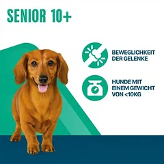 Perfect Fit Senior Hund (<10 kg)