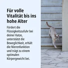 Virbac Veterinary Cat Early Kidney & Joint KJ1 drėgnas maistas katėms — 4 nuotrauka