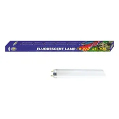 Aqua Nova T8 15W White