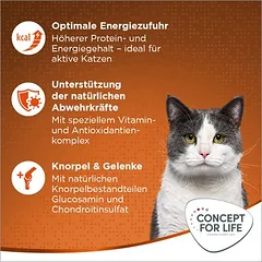 Concept for Life Outdoor Cats sausas maistas katėms – patobulinta receptūra, 3 - 4,9 kg — 4 nuotrauka
