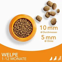 IAMS Advanced Nutrition Puppy Small / Medium Breed su vištiena, sausas maistas šuniukams, > 10 kg — 5 nuotrauka