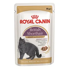 ROYAL CANIN British Shorthair šlapias maistas padaže suaugusioms katėms Britų trumpaplaukė 24x85 g