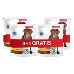 PERFECT FIT Adult 1+ Visavertis sausas ėdalas didelių veislių suaugusiems šunims, su vištiena 4 x 825 g 3+1 NEMOKAMAI