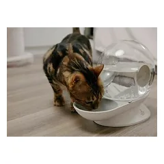 Placek Epic Pet Aqua Ball girdykla 2,8 l — 4 nuotrauka