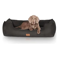 Knuffelwuff guolis šunims Dreamline iš velūro, Mažiems 5–10 kg — 3 nuotrauka