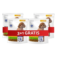 PERFECT FIT Sensitive 1+ visavertis sausas pašaras mažų veislių suaugusiems šunims, turintis daug kalakutienos, 4 x 825 g, 3+1 GRATIS.