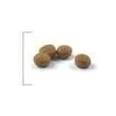 Royal Canin FHN Sterilised +7 sausas maistas katėms 3,5 kg — 2 nuotrauka
