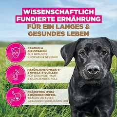 Eukanuba Grain Free Adult Large su vištiena, sausas maistas šunims — 4 nuotrauka