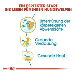 Royal Canin French Bulldog Puppy sausas maistas šunims, > 10 kg — 4 nuotrauka