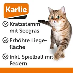 Karlie draskyklė katėms Segra, pilka / ruda — 2 nuotrauka