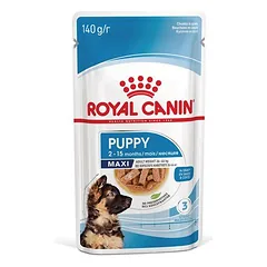 Royal Canin Maxi Puppy in Soße