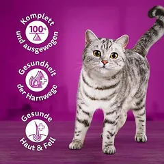 Whiskas 1+ drėgnas maistas katėms, konservai 24 x 400 g — 4 nuotrauka
