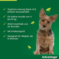 Advantage® 100 šunims, 4-10 kg, Ekonominė pakuotė: 2 x 4 pipetės x 1,0 ml — 5 nuotrauka