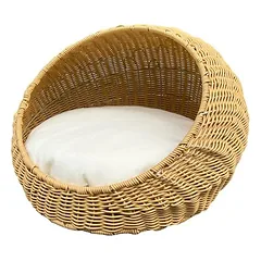 Aumüller ovali pintinė kriauklė