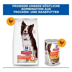Hill's Science Plan Perfect Digestion Adult 1+ Medium su vištiena ir rudaisiais ryžiais, sausas maistas šunims, 1,5 - 2,9 kg — 5 nuotrauka