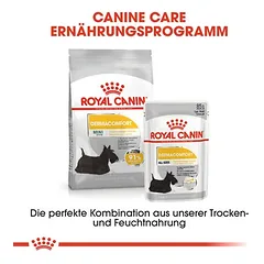 Royal Canin Dermacomfort Mousse drėgnas maistas šunims — 5 nuotrauka