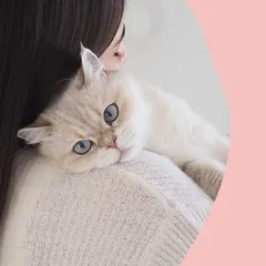 GimCat Nutri Biotin Bites su lašiša, skanėstai katėms — 5 nuotrauka