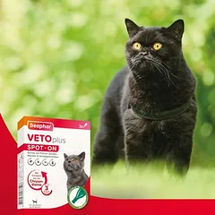 beaphar VETOplus SPOT-ON für Katzen