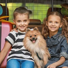 Šunų barjeras automobiliui Relaxdays, reguliuojamas — 5 nuotrauka