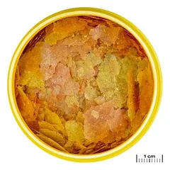 JBL ProNovo Color Flakes M universalus pašaras žuvims 250 ml — 2 nuotrauka