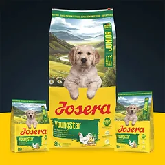 Josera Young Star begrūdis sausas pašaras jauniems šunims su paukštiena, 12,5kg — 2 nuotrauka
