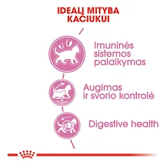 ROYAL CANIN FHN Kitten sterilised sausas maistas sterilizuotiems kačiukams 400 g — 3 nuotrauka