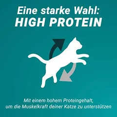 PURINA ONE High Protein su lašiša, sausas maistas katėms — 2 nuotrauka
