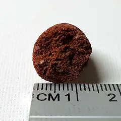 Biohome Ultimate 1kg — 3 nuotrauka