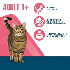 Perfect Fit mišrus rinkinys, drėgnas maistas katėms — 2 nuotrauka