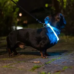 TIAKI mažas USB LED silikoninis žiedas Lantern, turkio spalvos — 4 nuotrauka