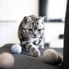 LucyBalu Filzbälle mit Glocke SOUND BALLS