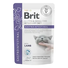 Brit GF Veterinary Diets konservai katėms virškinimui su mažu kiekiu riebalų 12x85g