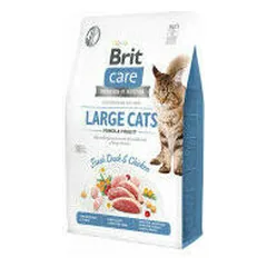 Brit Care Cat GF Large cats Power&Vitality sausas maistas katėms 2 kg — 2 nuotrauka
