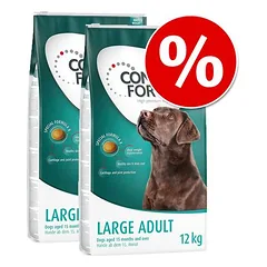 Sparpaket Concept for Life 2 x Großgebinde