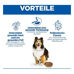 Hill's Science Plan Adult Dog Sensitive Stomach & Skin drėgnas maistas šunims — 5 nuotrauka