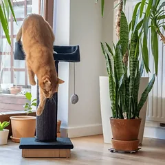 Ecomfy draskyklė Alex, su lentyna, pilka, 67.5cm — 5 nuotrauka