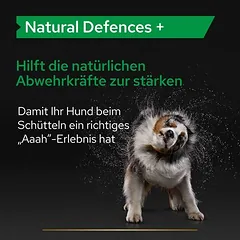 PRO PLAN Dog Adult Natural Defences Supplement tabletės, papildas šunims, 50 - 79 g — 3 nuotrauka