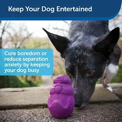 PetSafe Busy Buddy Squirrel Dude - kramtomasis žaislas šunų skanėstams, voverė — 2 nuotrauka