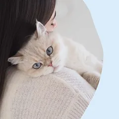 GimCat Nutri Kitten Bites su pienu, skanėstai kačiukams — 5 nuotrauka